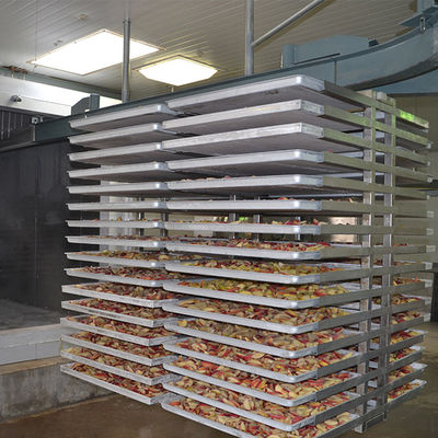 다기능 자동적인 500kg 동결 건조기