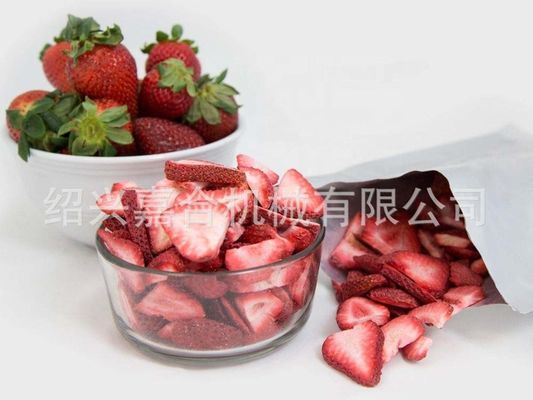 1000kg 동결 건조기